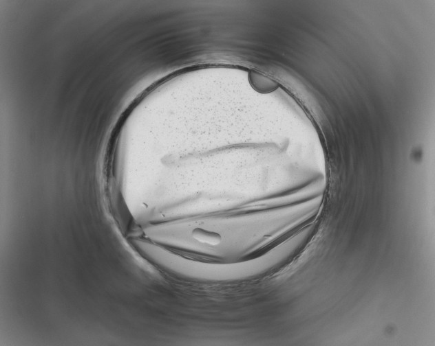 X0000116661141201001111244