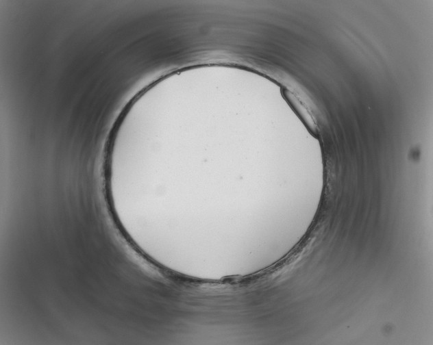 X0000116661142201001111244