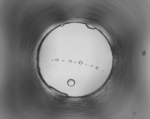 X0000116661143201001111244
