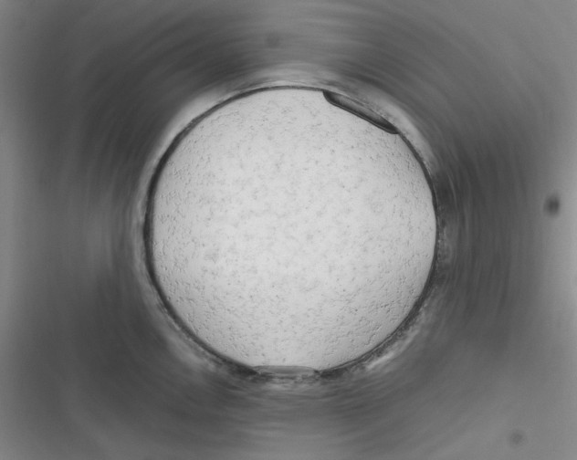 X0000116661146201001111244