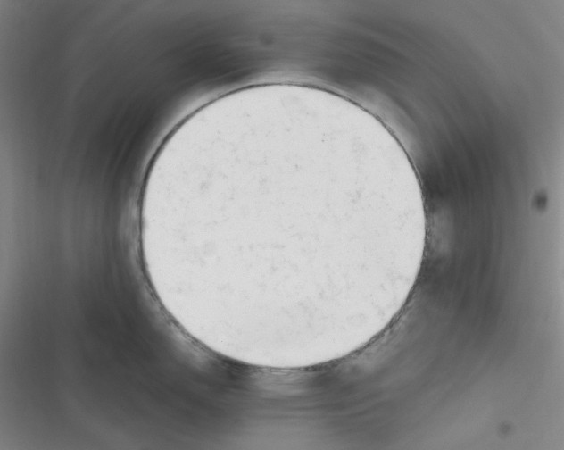 X0000116661150201001111244