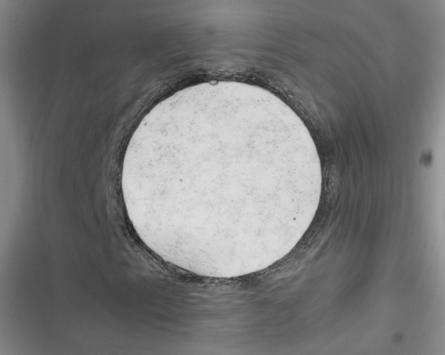 X0000116661153201001111244