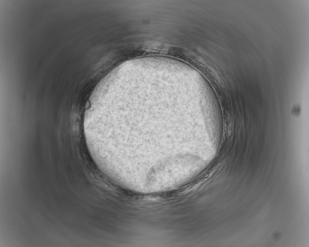 X0000116661154201001111244