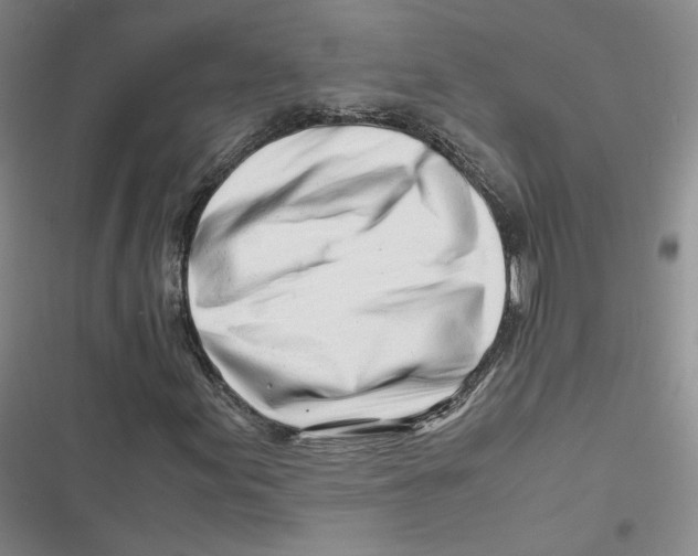 X0000116661155201001111244