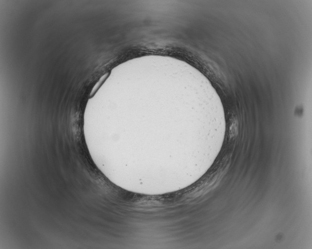 X0000116661156201001111244