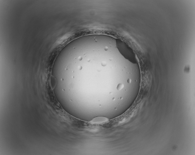 X0000116661157201001111244