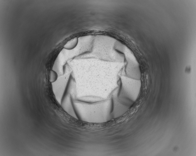 X0000116661158201001111244