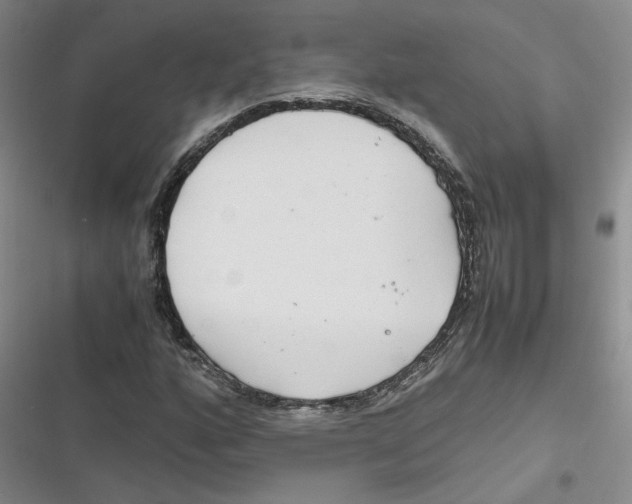 X0000116661160201001111244