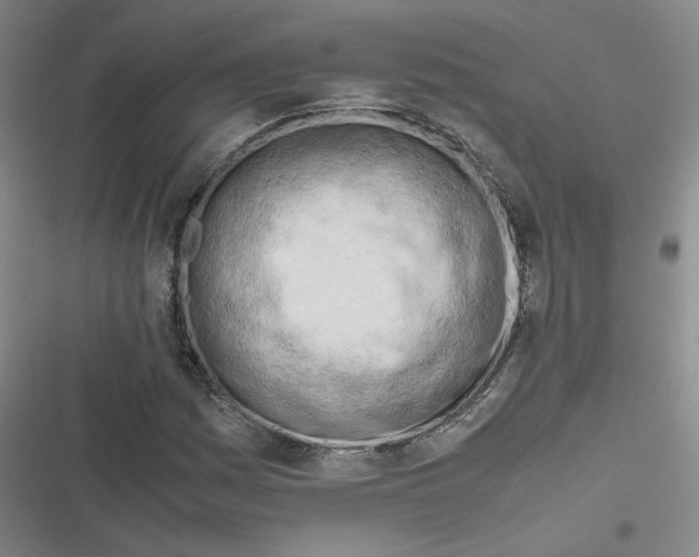 X0000116661161201001111244