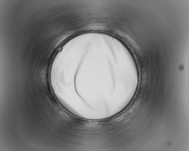 X0000116661162201001111244
