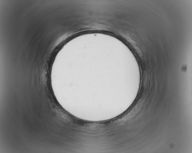 X0000116661163201001111244