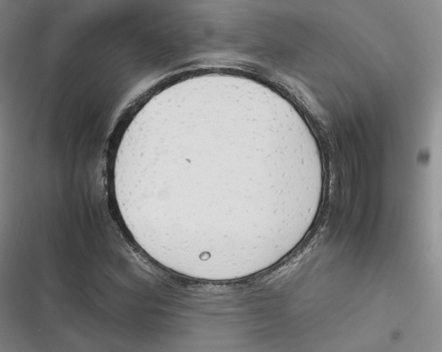 X0000116661164201001111244