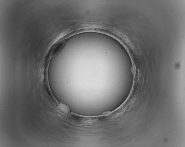 X0000116661165201001111244