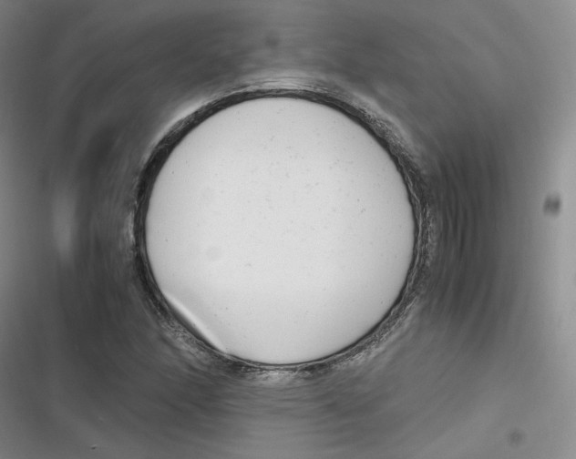 X0000116661166201001111244