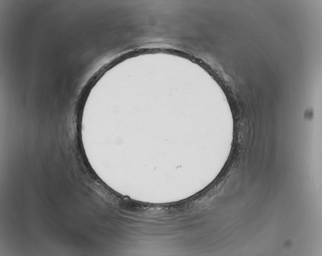 X0000116661167201001111244