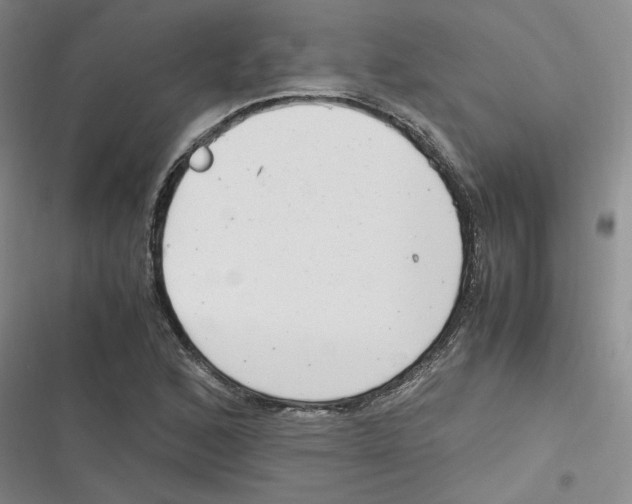 X0000116661168201001111244