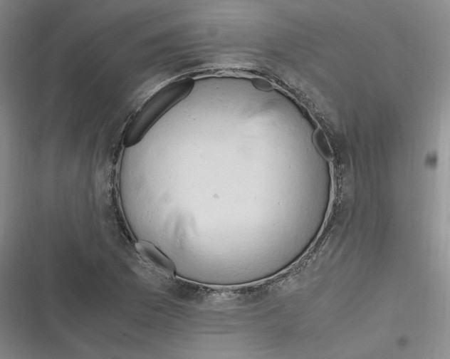 X0000116661169201001111244