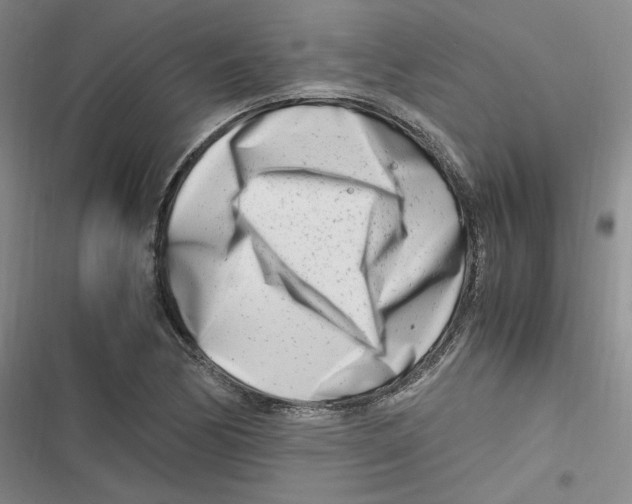 X0000116661170201001111244
