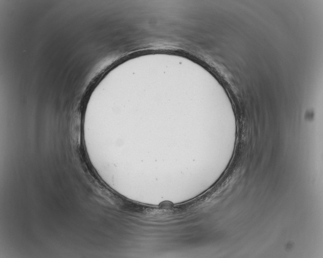 X0000116661171201001111244