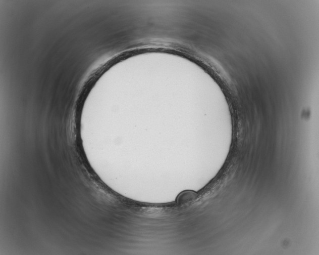 X0000116661172201001111244