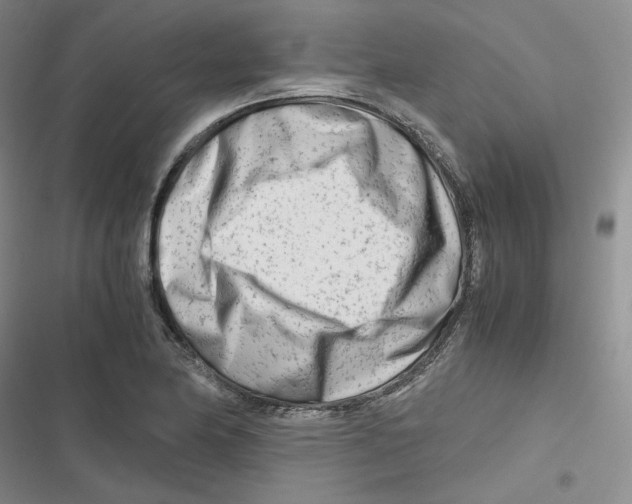 X0000116661174201001111244