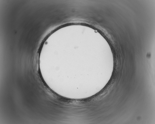 X0000116661175201001111244