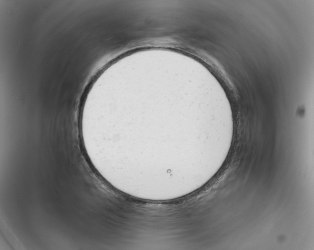 X0000116661176201001111244