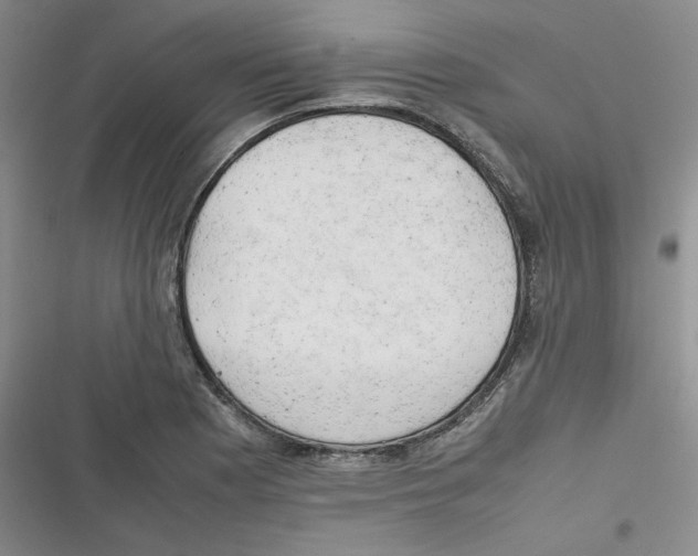 X0000116661177201001111244