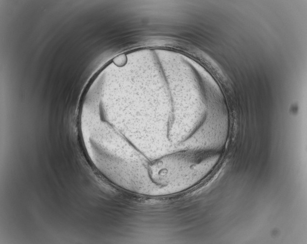X0000116661178201001111244