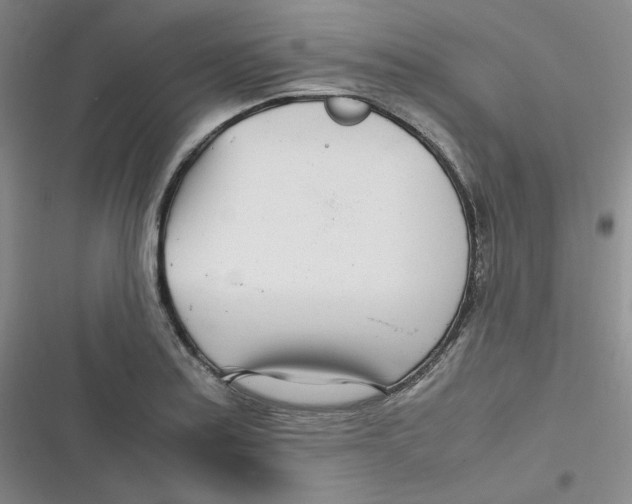X0000116661179201001111244