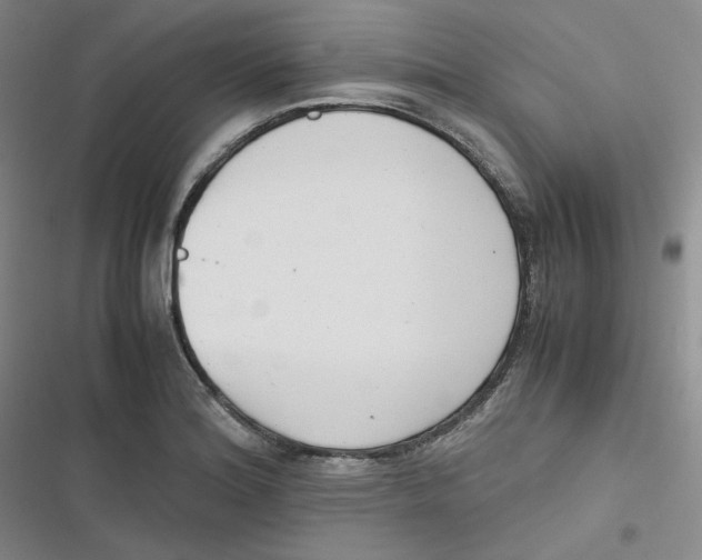 X0000116661180201001111243