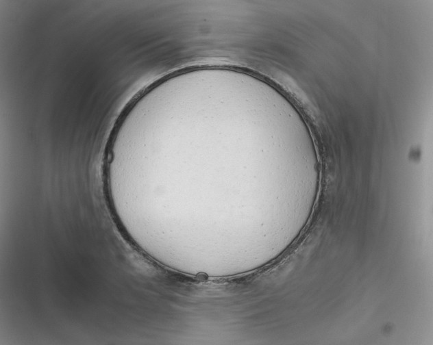 X0000116661181201001111243