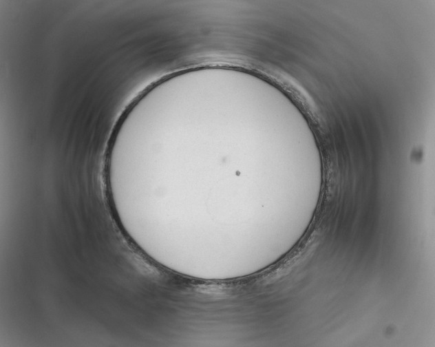 X0000116661182201001111243