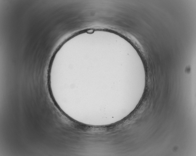 X0000116661183201001111243