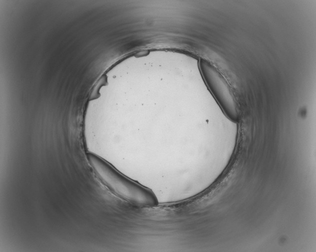 X0000116661185201001111243