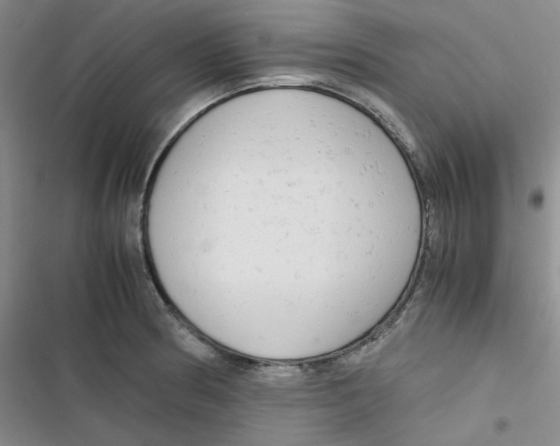 X0000116661186201001111243