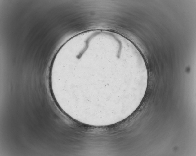 X0000116661187201001111243