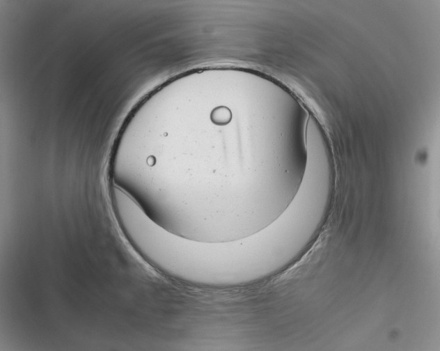 X0000116661189201001111243