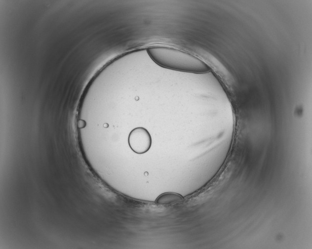 X0000116661190201001111243