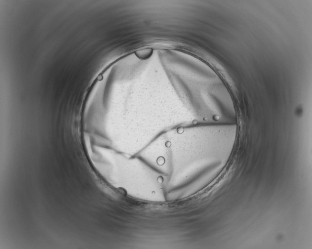 X0000116661194201001111243
