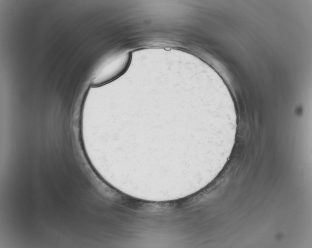 X0000116661195201001111243