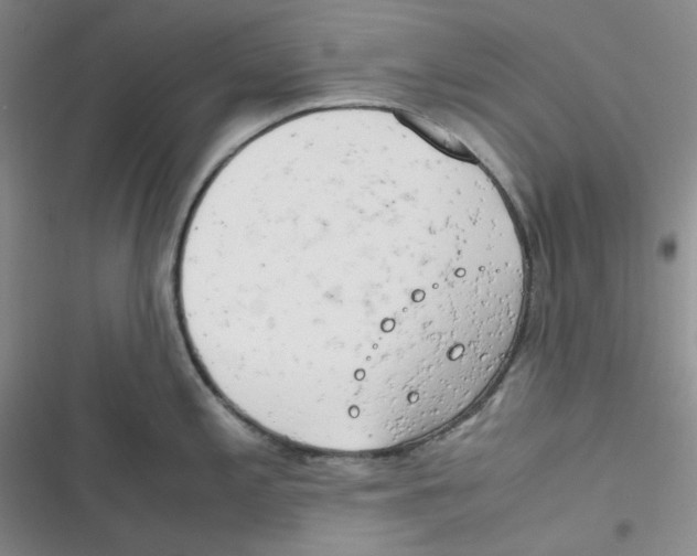 X0000116661197201001111243