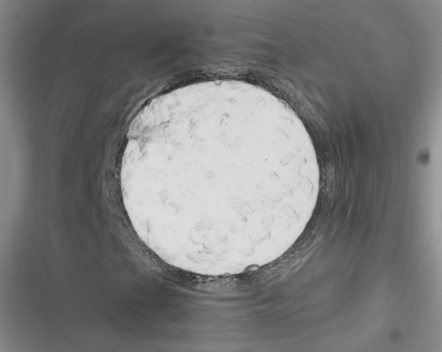 X0000116661201201001111243