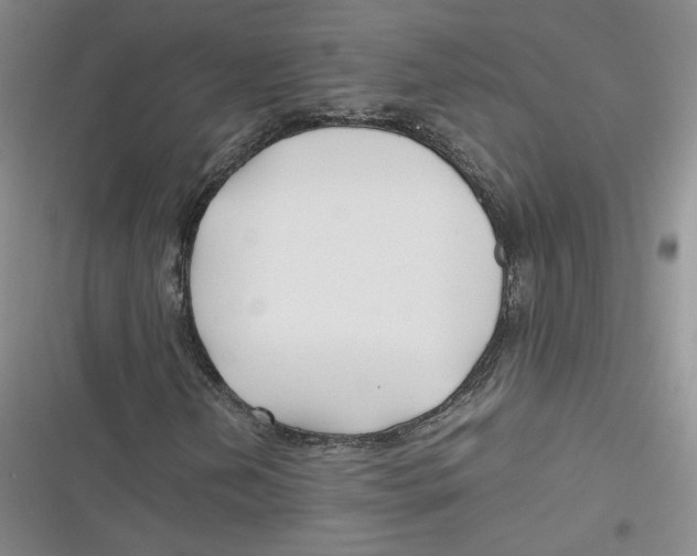 X0000116661202201001111243