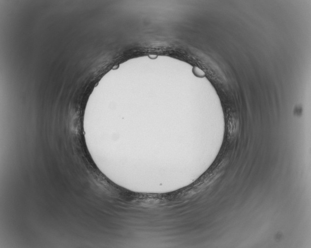 X0000116661204201001111243