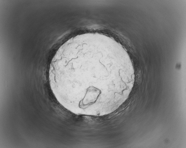 X0000116661205201001111243