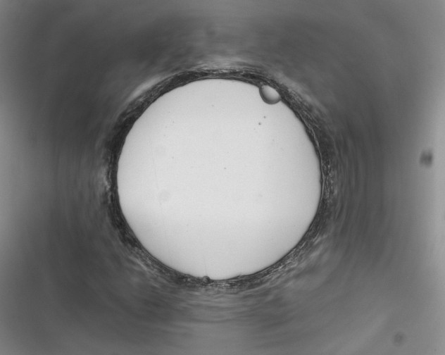 X0000116661206201001111243