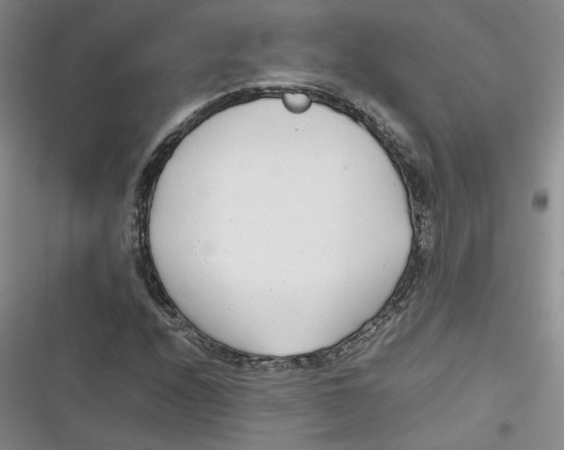 X0000116661208201001111243