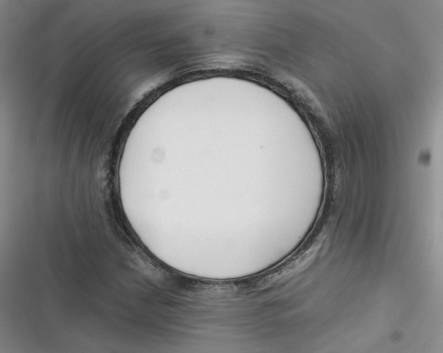 X0000116661210201001111243