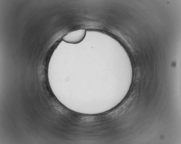X0000116661211201001111243